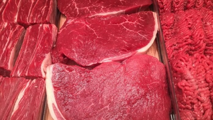 projetos-das-industrias-brasileiras-de-carne-bovina-e-de-frango-projetam-novos-recordes-em-2025