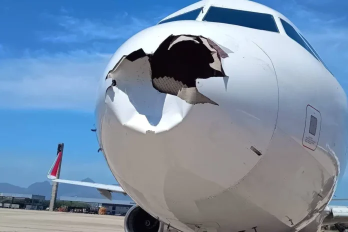 Imagem mostra estrago em bico de avião após colisão com pássaro.